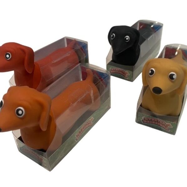 TARKKANA - Mäyräkoira